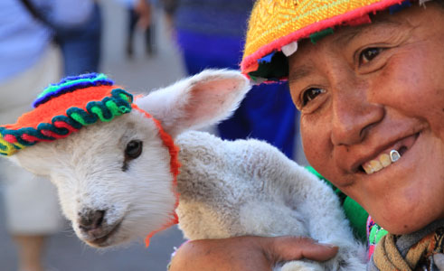 The People & Animals of Peru